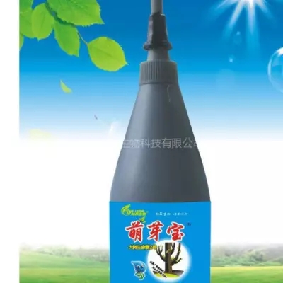 萌芽宝