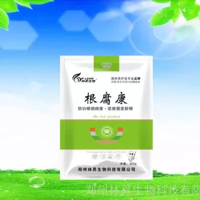 根腐康